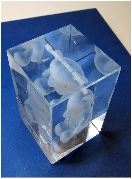 Ansicht von oben Ansicht von oben