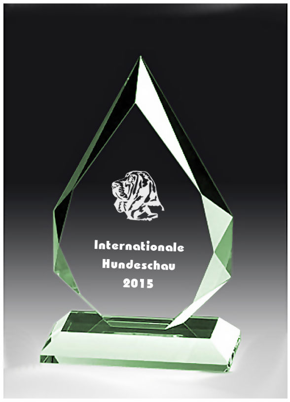 Glaspokale mit Gravur, Glastroph&auml;en, Glasawards, 3D Foto Glasgravur, Pokale:  Glaspokal Peak