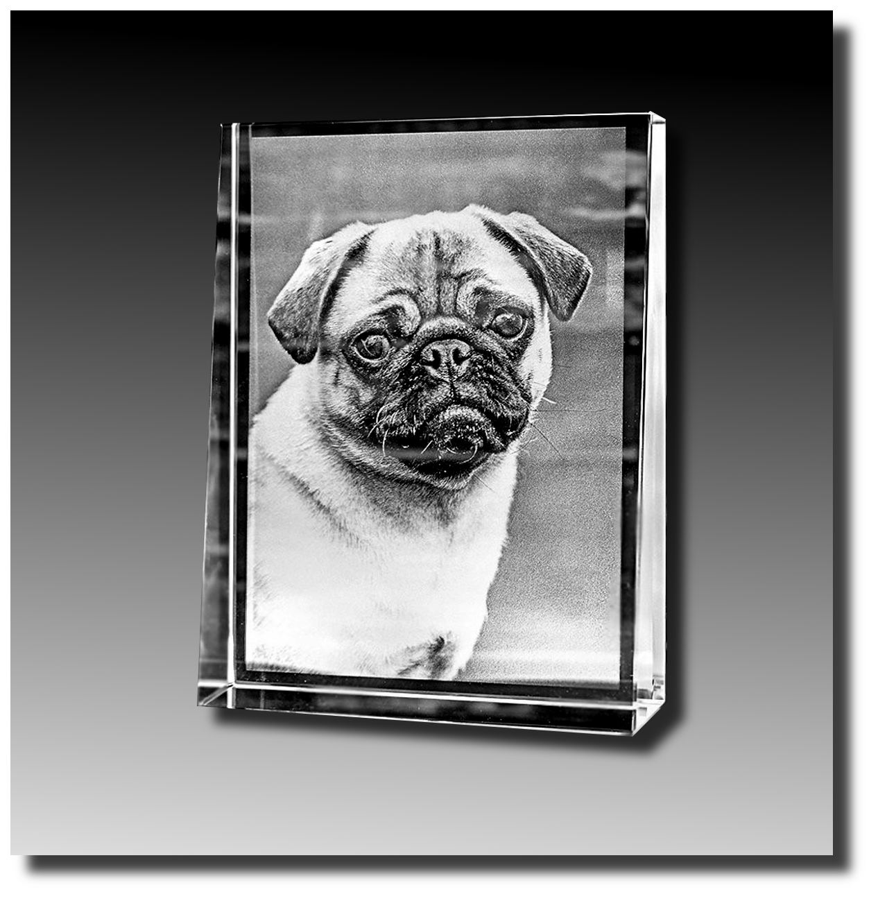 Glaspokale mit Gravur, Glastroph&auml;en, Glasawards, 3D Foto Glasgravur, Pokale:  Glasfoto 2D-Prisma-hoch