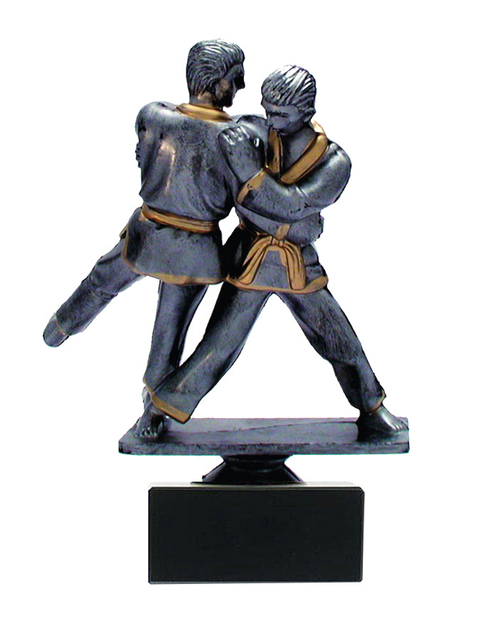 Glaspokale mit Gravur, Glastroph&auml;en, Glasawards, 3D Foto Glasgravur, Pokale:  Judotroph�e J.8