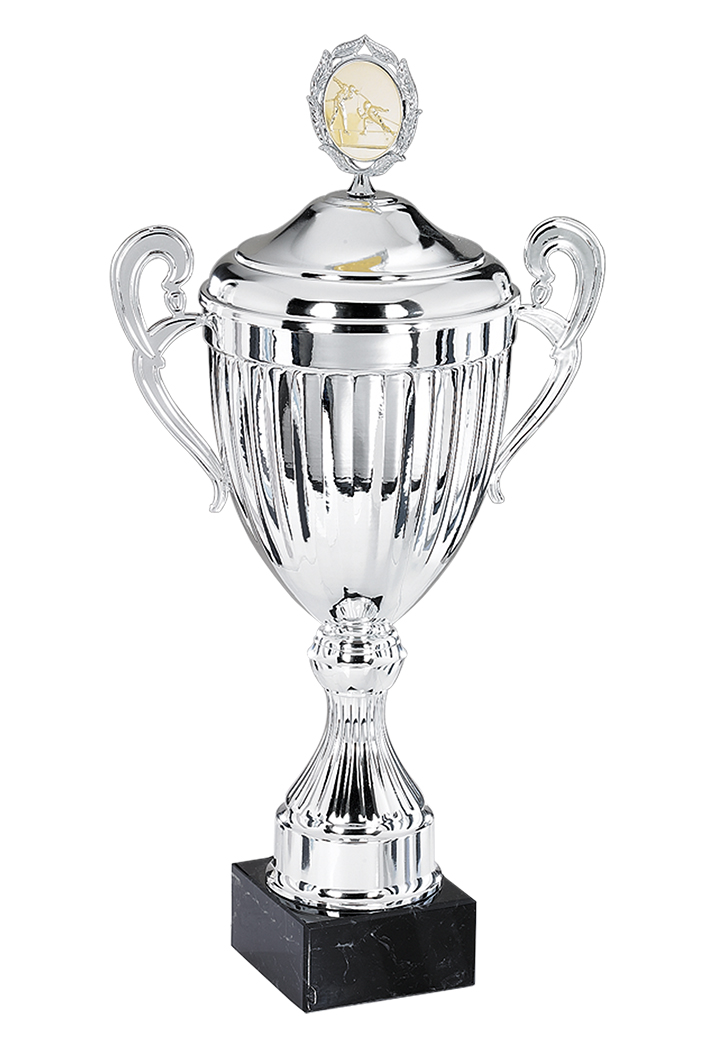 Glaspokale mit Gravur, Glastroph&auml;en, Glasawards, 3D Foto Glasgravur, Pokale:  Andorra Henkelpokal