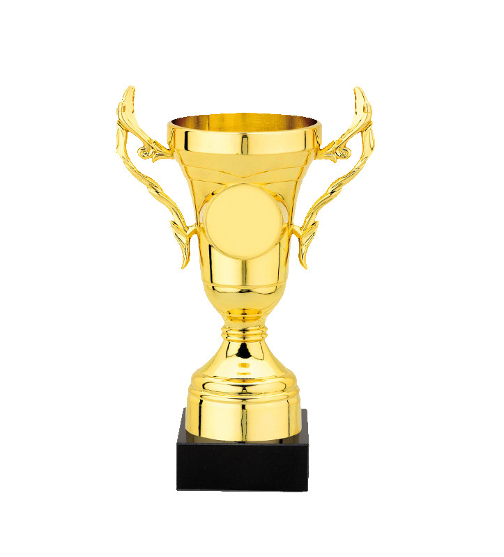 Glaspokale mit Gravur, Glastroph&auml;en, Glasawards, 3D Foto Glasgravur, Pokale:  kleiner Pokal Q-505