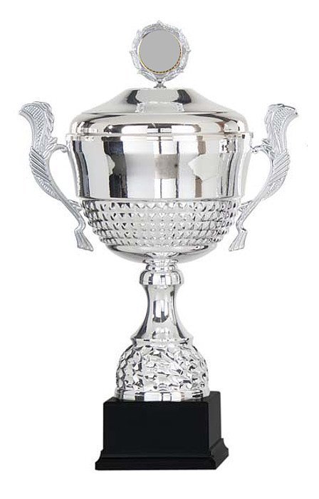 Glaspokale mit Gravur, Glastroph&auml;en, Glasawards, 3D Foto Glasgravur, Pokale:  Haag Henkelpokal