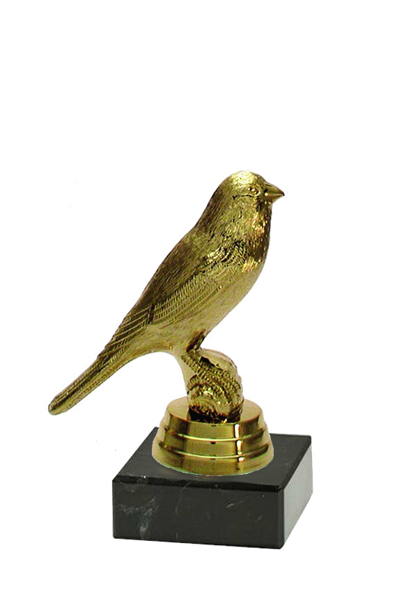 Glaspokale mit Gravur, Glastroph&auml;en, Glasawards, 3D Foto Glasgravur, Pokale:  Troph&aum;e Pechvogel